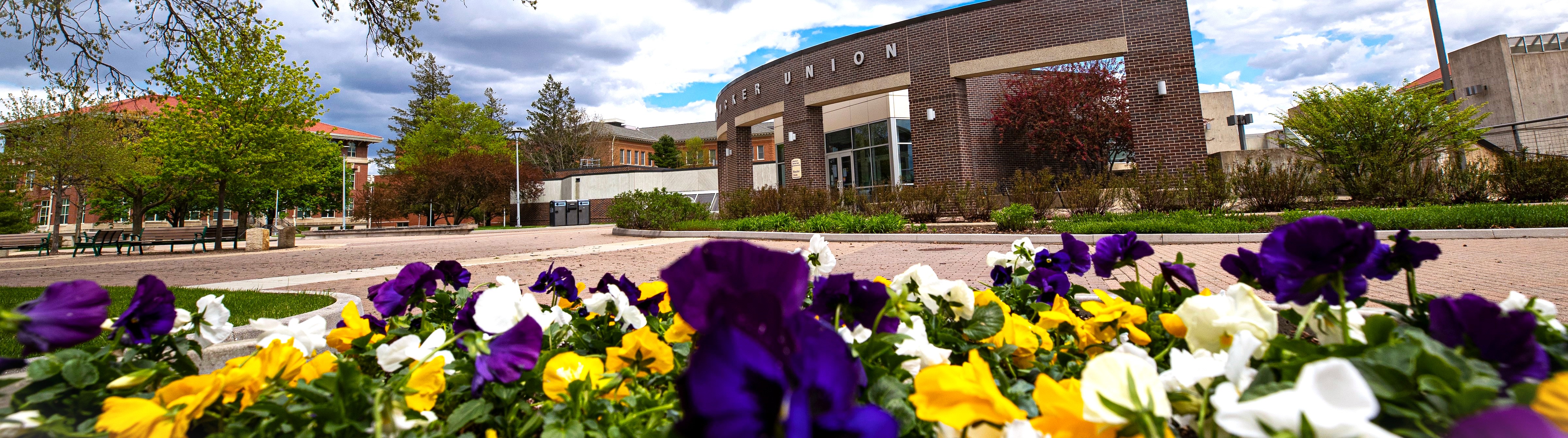 image of flowers in front of Maucker Union